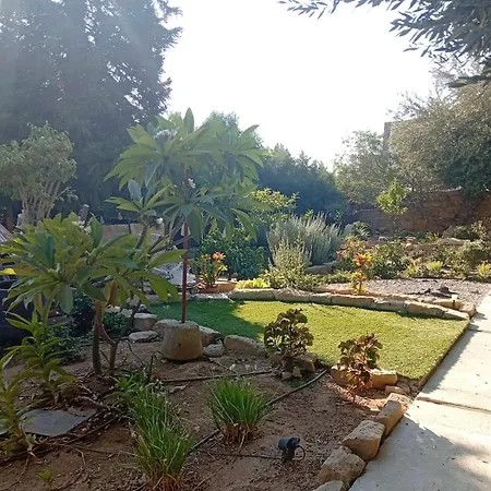 Little Paradise *